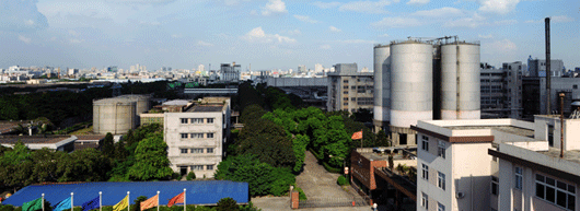 广东省经济学家企业家网