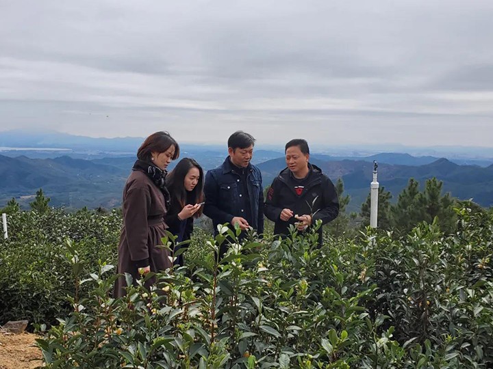 广东省经济学家企业家网